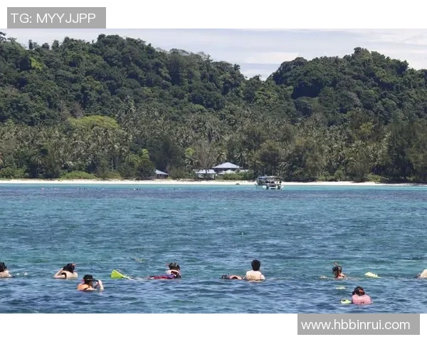武汉足球队速度飞跃创历史新高引发热议与期待